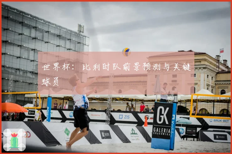 世界杯：比利时队前景预测与关键球员