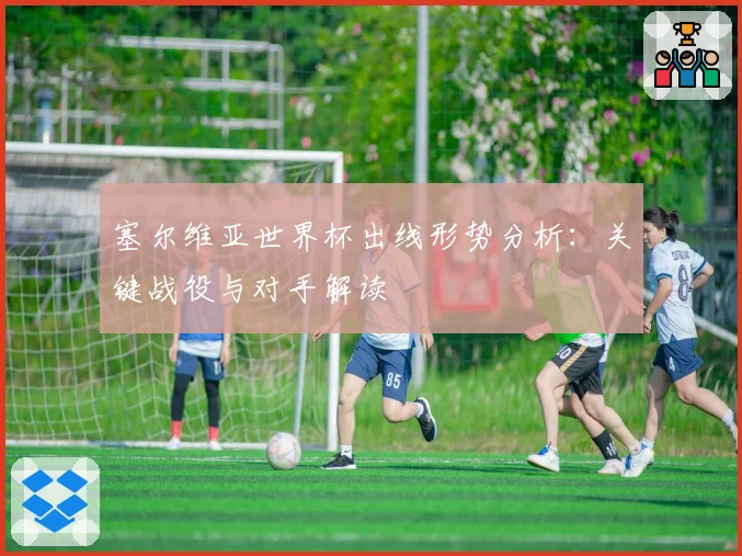 塞尔维亚世界杯出线形势分析：关键战役与对手解读